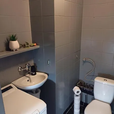 Cicha Przystan Starowka *